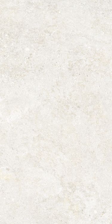 Untamed Wander White 12 x 24